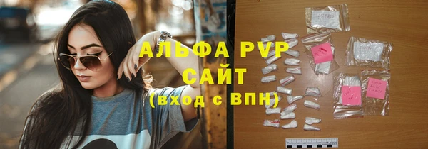 индика Семикаракорск