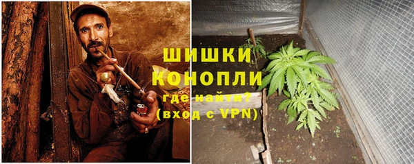 прущие грибы Алексин