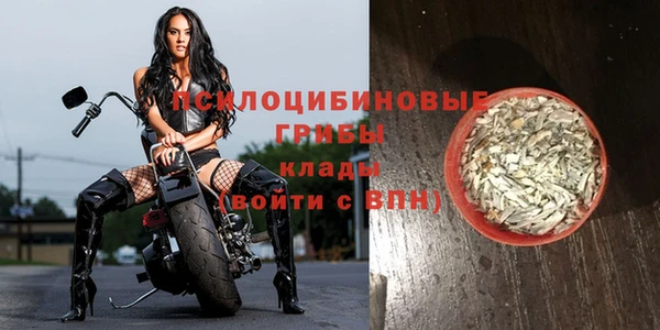 прущие грибы Алексин