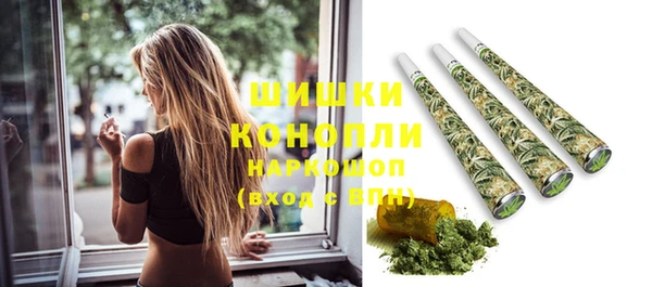 прущие грибы Алексин